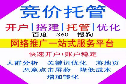 搜索引擎营销（SEM）成功案例详解